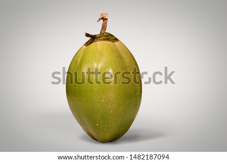 green coconut on gradient white background.