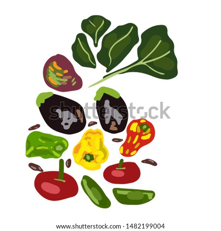 Set of fresh raw vegetables. Isolated on white background. Flat cartoon style. Vector illustration. Royalty-Free Stock Photo #1482199004