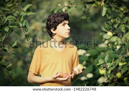 teenager happy boy with apple smile wink on apple tree green garden background