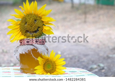 organic honey in glass jar, sunflower and bee on natural background, healthy lifestyle, apiculture, healthy products and food, beekeeping, rustic background