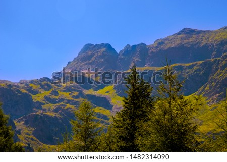 The beautiful alpine mountains, with their dense woods near the Dolomites, in Passo Pennes, in the province of Bolzano, Italy.