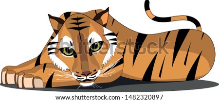 Cute Tiger with big eyes lying down, swishing its tail.