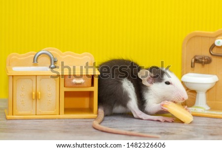 A small decorative gray rat nibbles cheese in a children's toy room. The rat is a symbol of 2020.
