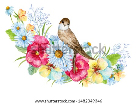 Flowers and bird .Illustration in watercolor on an isolated white background