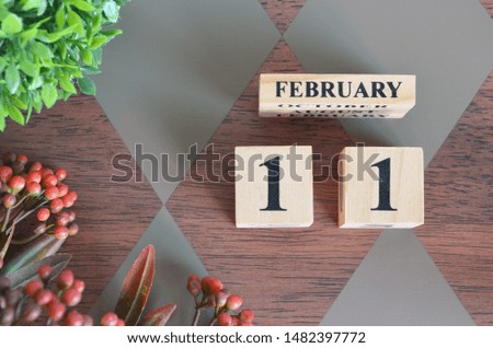 February 11. Date of February month. Number Cube with a flower and leaves on Diamond wood table for the background