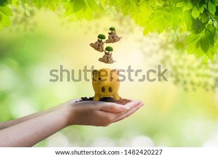 woman hand holding soil and piggy bank with tree hemp bag on dollar falling from sky to down,blurred nature background and bokeh,concept saving money for future,investing in land and real estate