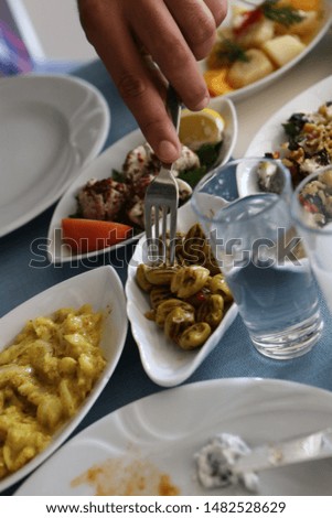 Traditional Turkish and Greek dinner meze table