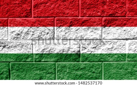 Flag of Hungary close up painted on a cracked wall