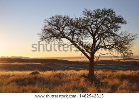 landscape of Namib desert near Solitaire