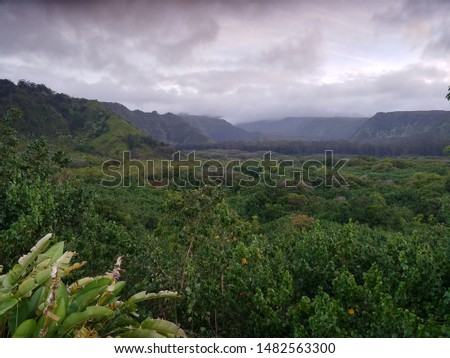 View of the mountains on the road to Hana on Maui