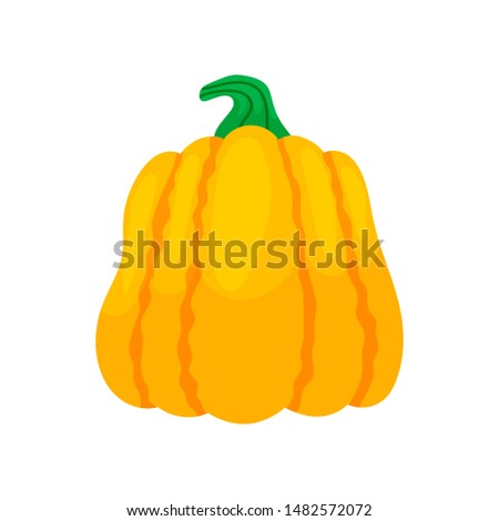 Thanksgiving colorful pumpkins. Cartoon and flat style. Vector illustration isolated on white background.