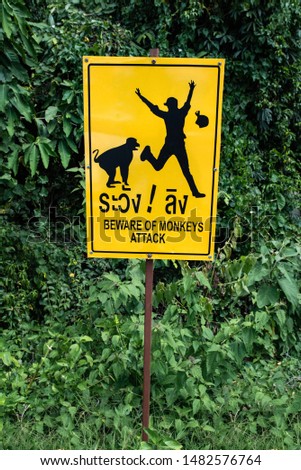 beware of monkeys attack signage. yellow sign. Thailand