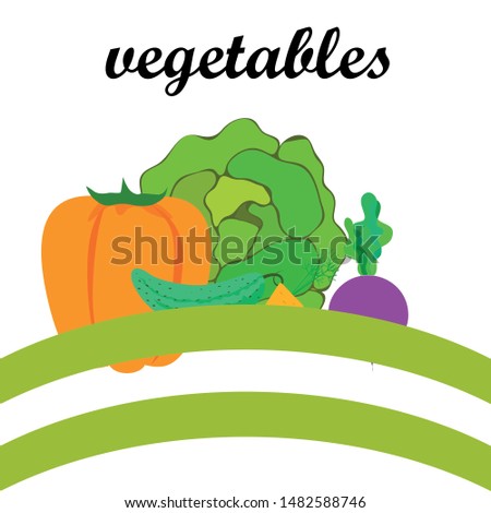 Cabbage, beet, carrot, pepper, cucumber, fresh vegetables. Organic food poster. Farmer market design. Vector background.