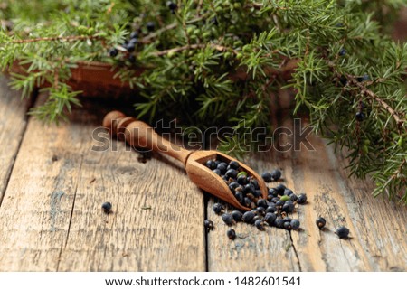 Wooden spoon with seeds of juniper. Juniper branch with berries on a wooden background.