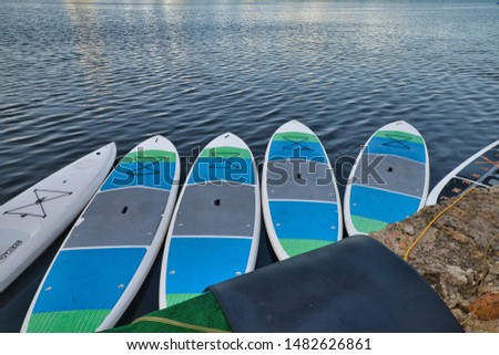 Paddle Boards floating in the water. Royalty-Free Stock Photo #1482626861