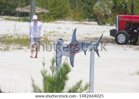 beware of sharks sign on sandy beach in bahamas