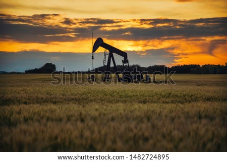 An oil pump jack on the middle of the wheat field with the beautiful sunset sky. 