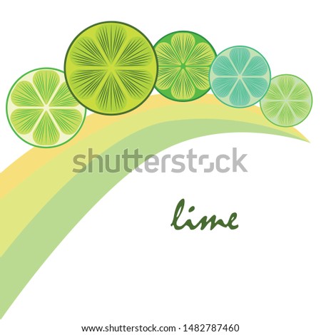 Green half and slice lime. Vector illustration, background.