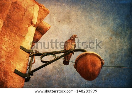 picture of a dove sitting on an old lamp with creative vintage style texture