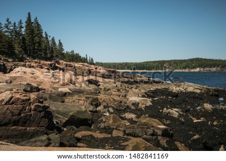Acadia National Park Shoreline Hike