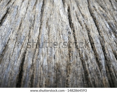 Close up gray wooden grunge texture background 