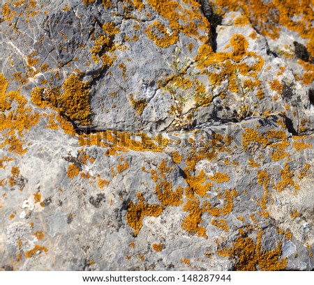 background of mountain stone