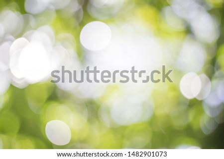 Beautiful of Green bokeh on defocus in the nature light for art abstract ,blurred background or texture concept
