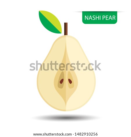 Nashi pear, fruit on white background. Flat design style. vector illustration.