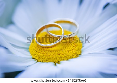 beautiful golden rings with flower
