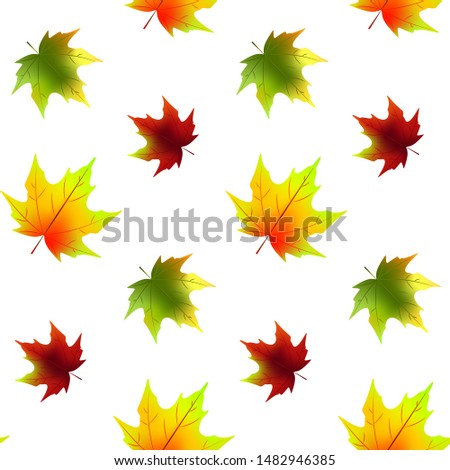 Autumn leaves seamless pattern isolated on white. Vector illustration