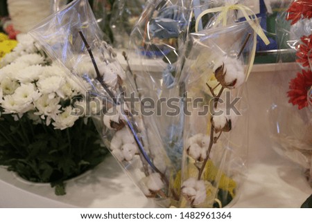 bouquets of white asters and sprigs of cotton flowers in cellophane for sale in a store