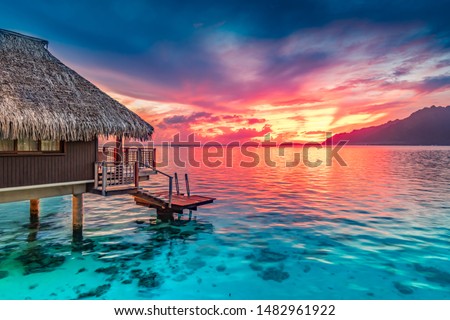 Stunning colorful sunset sky on the horizon of Moorea, the South Pacific Ocean.   Royalty-Free Stock Photo #1482961922