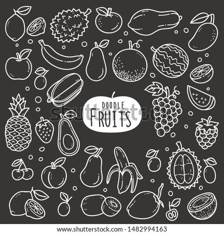 Fruits doodle drawing collection. fruit such as lemonade, watermelon, pineapple, grapes, coconut, durians etc. Hand drawn vector doodle illustrations in black and white blackboard chalk style.