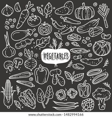 Vegetables doodle drawing collection. vegetable such as carrot, corn, ginger, mushroom, cucumber, cabbage, potato, etc. Hand drawn vector doodle illustrations in black and white blackboard chalk style
