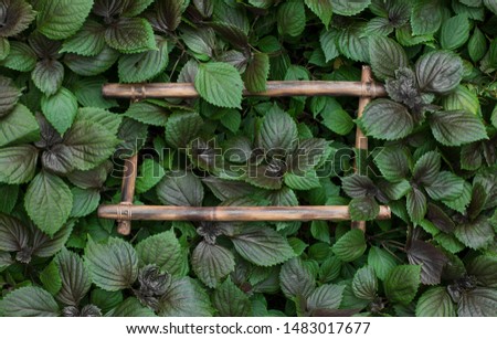 Creative layout made of leaves with wooden frame. Nature concept