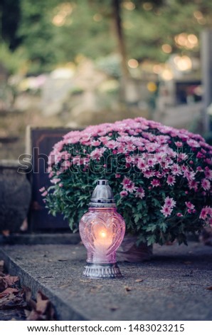 colorful burning candles during All Saints Day at the cemetery Royalty-Free Stock Photo #1483023215