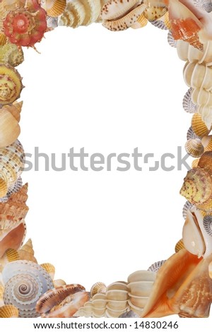 Frame from sea shell on white background