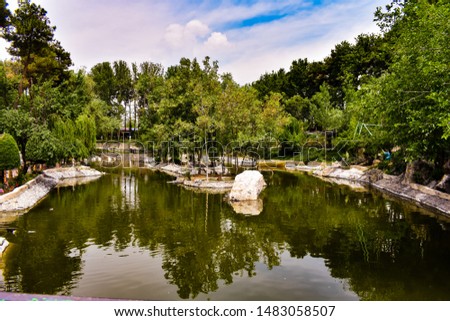 Beautiful green garden with a small lake and a variety of plants.