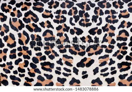 Leopard skin pattern on background 