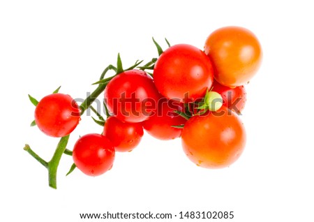 Branch with red cherry tomatoes isolated on white background. Studio Photo
