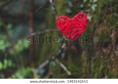 Plaited red heart hanging in the forest