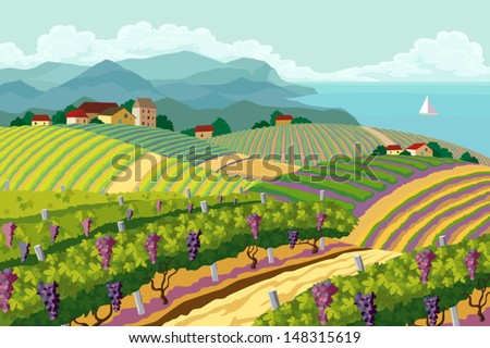 Rural landscape with vineyard and mountain and sea panorama