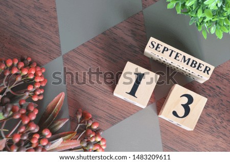 September 13. Date of September month. Number Cube with a flower leaves and bush on Diamond wood table for the background