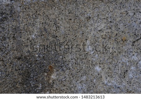 High Resolution on Cement and Concrete texture for pattern and background