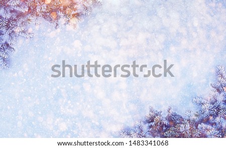 Christmas and New Year holidays background. Glitter lights backdrop. Winter season. Text space. Branch of Christmas-tree.