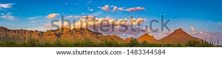 Tucson Mountain Park with Saguaro Cactus Panorama Royalty-Free Stock Photo #1483344584