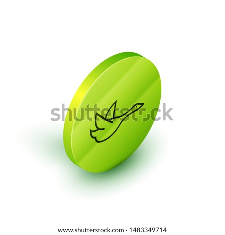 Isometric line Flying duck icon isolated on white background. Green circle button. Vector Illustration