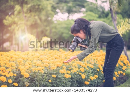 Beautiful Asian female photographer with an outdoor camera, shooting a full yellow flower in a flower field.