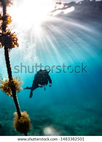 diver silhouette at the end of a dive