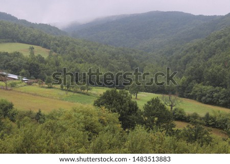 landscape with big green mountain
